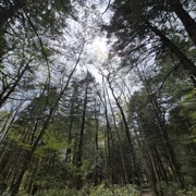返回河童橋路上。