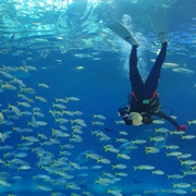 水族館內。