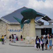 回到水族館的入口。