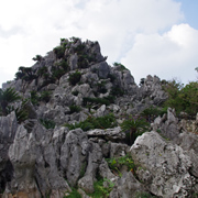 大石林山景觀。