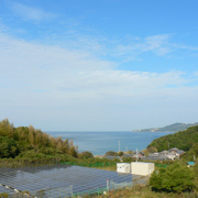 太陽能板基地。