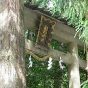 飛瀧神社的鳥居‧‧‧