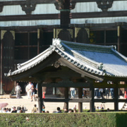 東大寺門外。