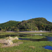 這裡是位於縣道14號旁的『石土池』。