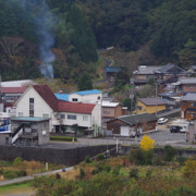 對面其實算是一條商店街。