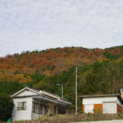 卯之町紅葉。