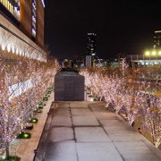 大阪市內夜景。