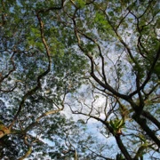 日落時份既CHANG BEACH PARK‧‧‧