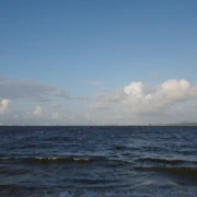 一切都令人吸引。