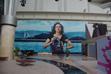 好大張的DIOR POSTER。