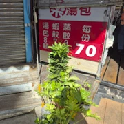 冇野做嘅人，當然就喺不斷地食。