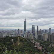 101大樓旁‧‧‧