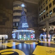 好快又來到聖誕節了。