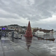 忠一路旁嘅海洋廣場。