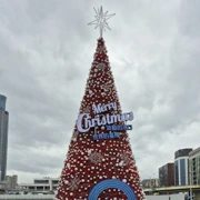 仲有唔到一個月就喺聖誕節了。