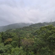 不知那天起，相片已成為影唔到就鳩就。