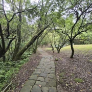 終於來到今次旅程重點嘅陽明山。