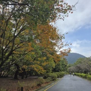 無咩特別想法，隨便揀左一條路線前行。