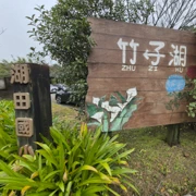 終於來到竹子湖。