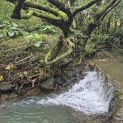 水車寮步道。