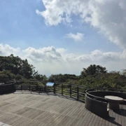 竹子湖觀景台。