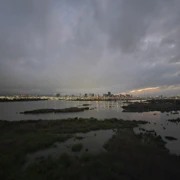 但站在河旁‧‧‧