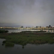 淡水河夜景。