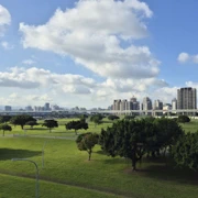 早上再次來到三重嘅淡水河旁。