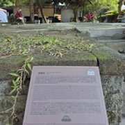 空軍三重一村。