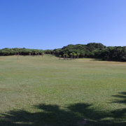 10多分鐘的車程，來到鵝鑾鼻公園。