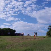 今天這裡也找到旅行團的蹤影。