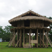 這建築物全用竹建成的。