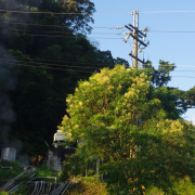 原來渡假村上面那麼多水塔呢！