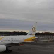 NOKSCOOT AIR，中文名叫酷鳥航空，勁。