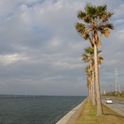 來到袖ケ浦海浜公園。