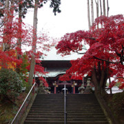 這裡就是鹿野山寺廟。