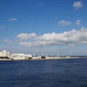 當是來看風景。