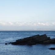 海岸線景色。