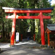 來到箱根神社。
