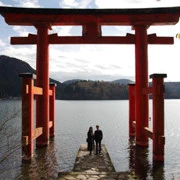背光之下,就變成黑面平和の鳥居。