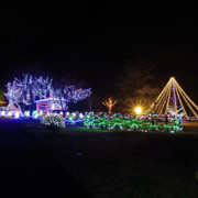 花之都公園燈祭。