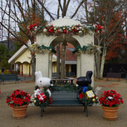 小鎮內公園及餐廳。