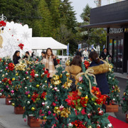 小鎮內公園及餐廳。