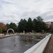 在公園內左穿右插‧‧‧