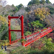 全自然公園內紅葉。