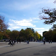 上野恩賜公園內。