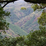 高尾山行山。