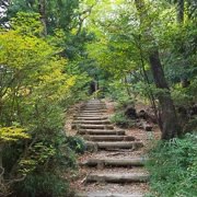 高尾山行山。