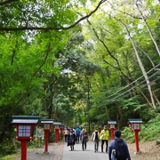 高尾山行山。