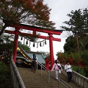 高尾山行山。